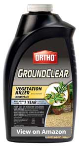Ortho GroundClear Vegetation Killer Concentrate