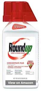 Roundup Weed and Grass Killer Concentrate plus