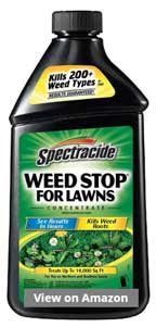 Spectracide Weed Stop for Lawns