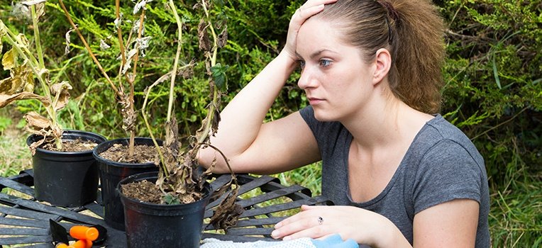 Common Gardening Mistakes