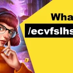 What is /ecvfslhs_wa?