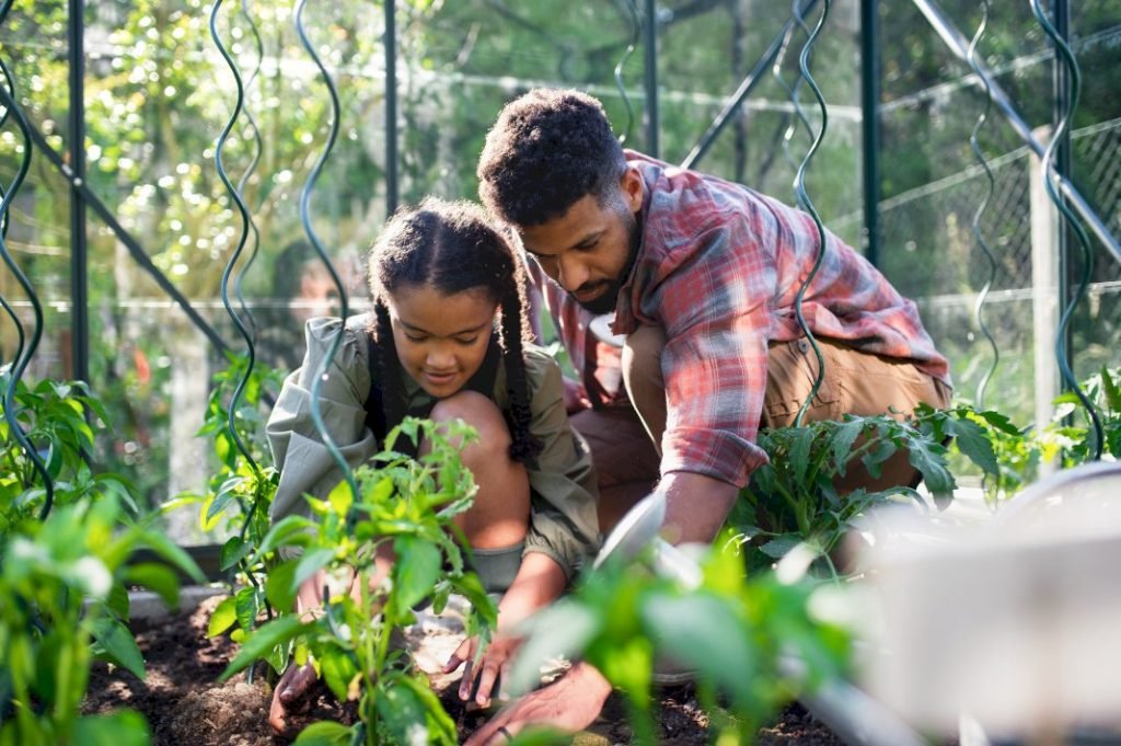 Invest in a Greenhouse