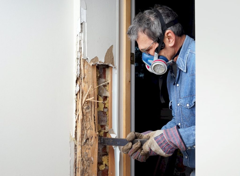 Renovate Your Home to be Mold-Free