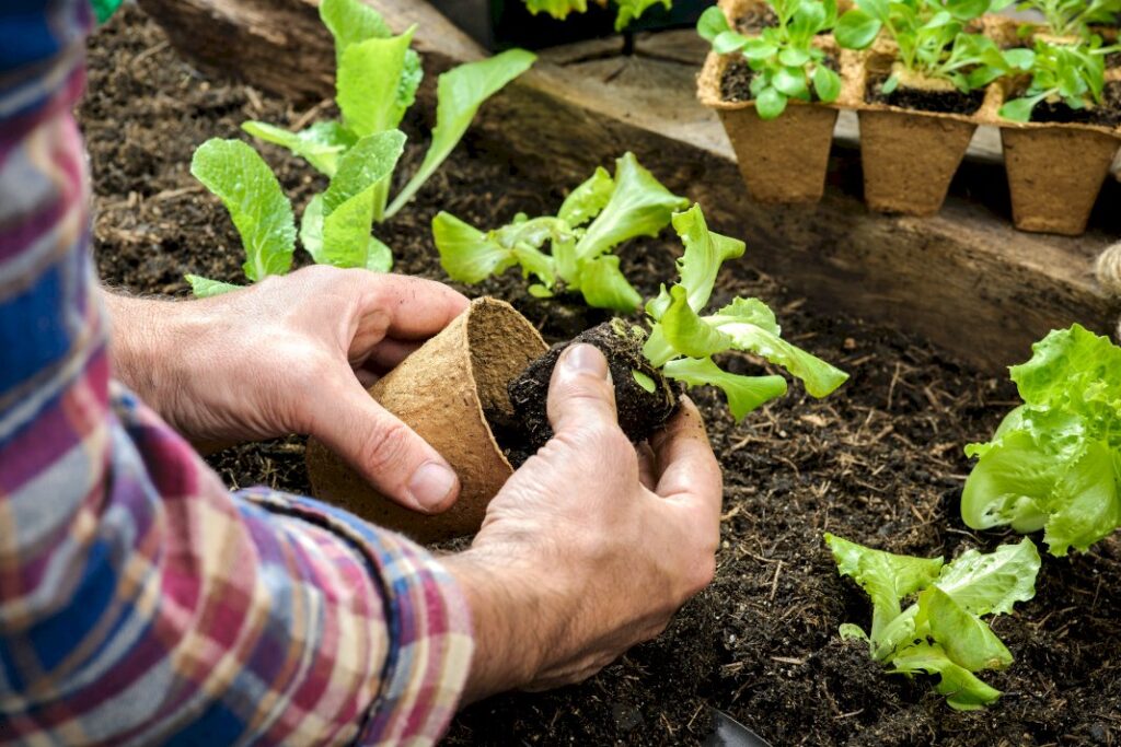 Invest in High-Quality Raised Garden Beds